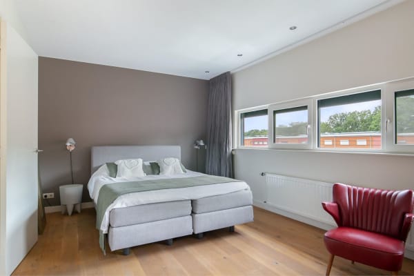 House sit in Eindhoven, Netherlands