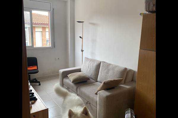 House sit in Ripollet, Spain