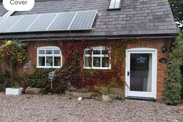 House sit in Whitchurch, United Kingdom