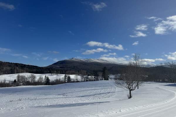 House sit in Jeffersonville, VT, US