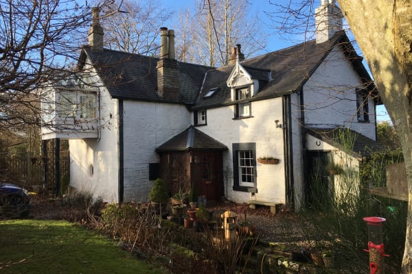 House sit in Edzell, United Kingdom