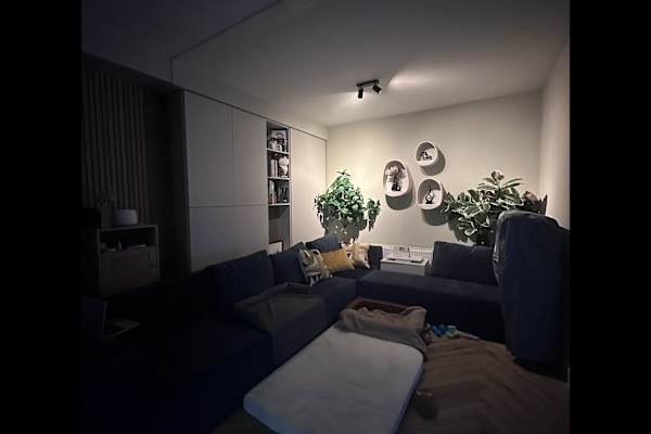 House sit in Haarlem, Netherlands