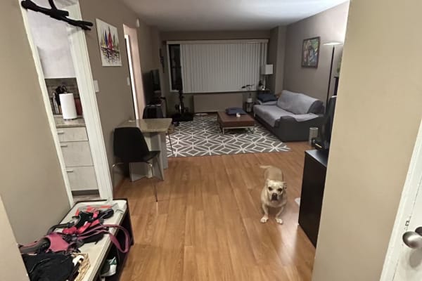 House sit in Manhattan, NY, US