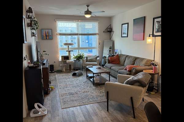 House sit in North Hollywood, CA, US