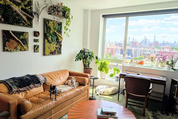 House sit in New York City, NY, US