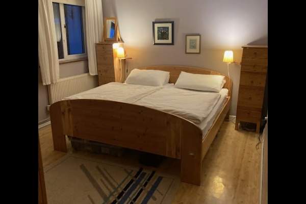 House sit in Shannon, Ireland