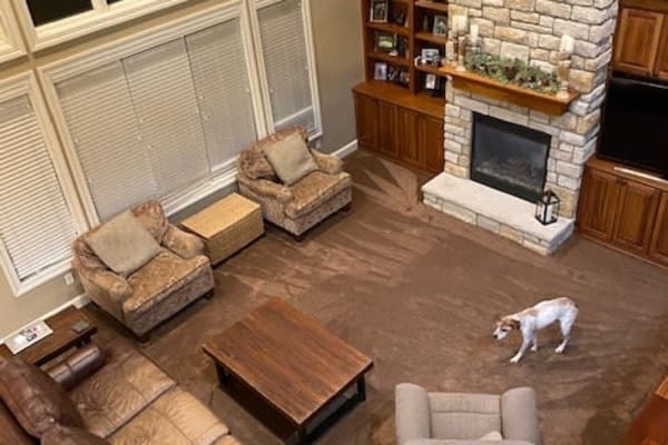 House sit in Sylvania, OH, US