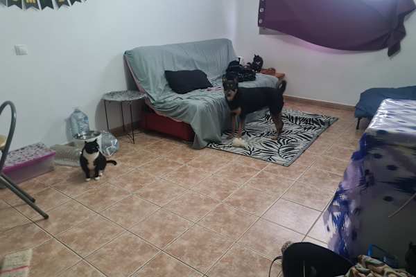 House sit in Puerto del Rosario, Spain