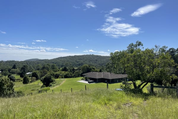 House sit in Sunshine Coast, QLD, Australia