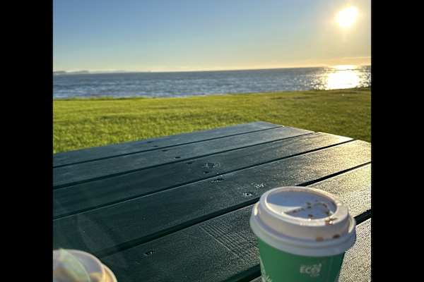 House sit in Sydney, NSW, Australia