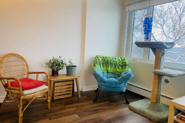 House sit in Edmonton, AB, Canada