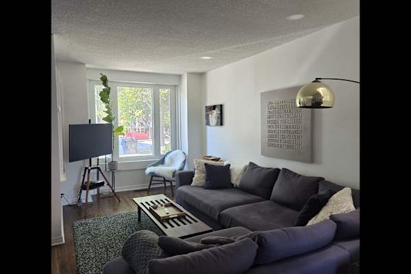 House sit in Toronto, ON, Canada