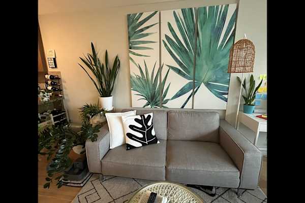 House sit in Richmond, BC, Canada