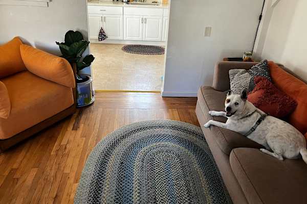 House sit in Seaside, CA, US