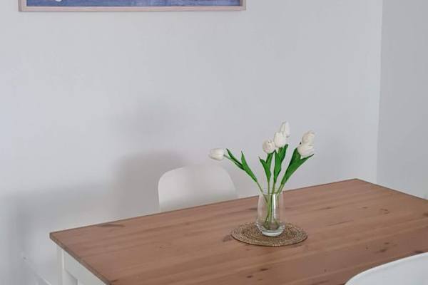 House sit in San Juan, Puerto Rico