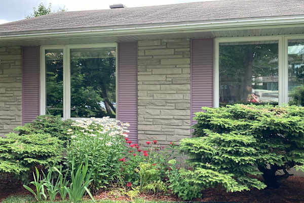 House sit in Ottawa, ON, Canada
