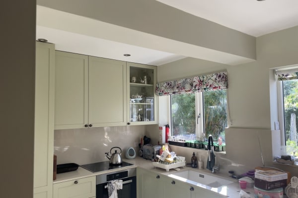 House sit in Richmond, United Kingdom