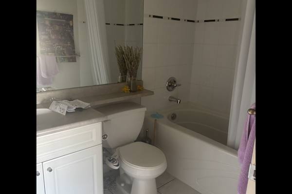 House sit in Vancouver, BC, Canada