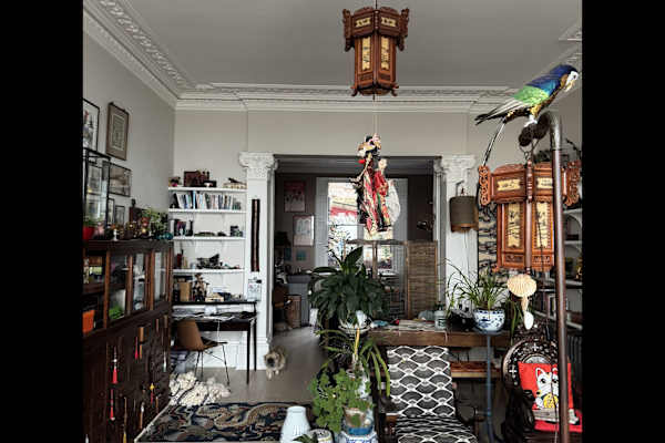 House sit in Hastings, United Kingdom