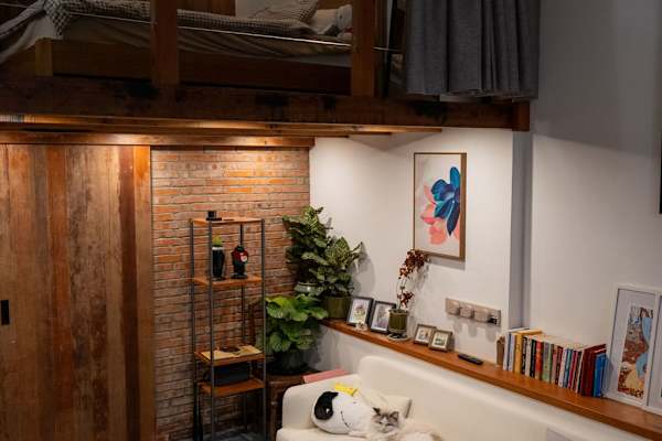 House sit in Shanghai, China