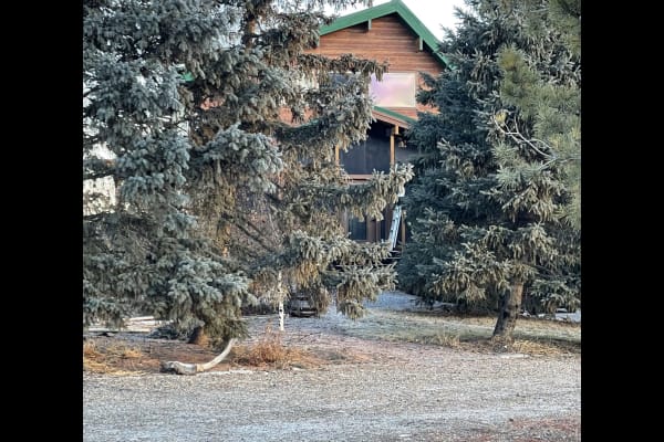 House sit in Bassano, AB, Canada