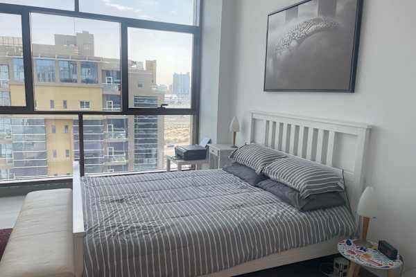 House sit in Dubai, United Arab Emirates