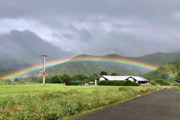 House sit in Blenheim, New Zealand