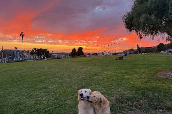 House sit in Ventura, CA, US
