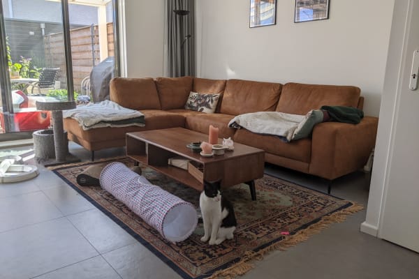 House sit in Maastricht, Netherlands