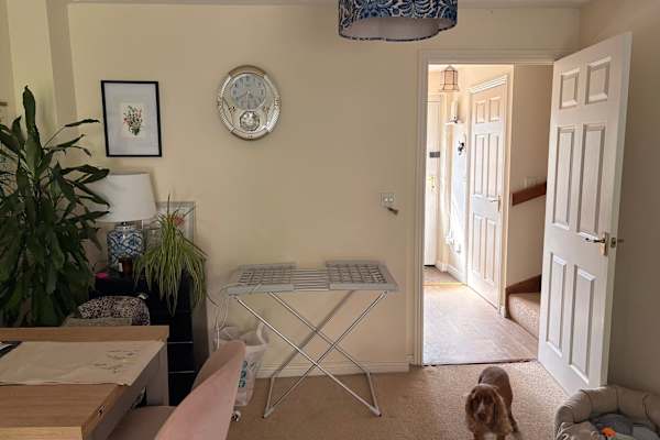 House sit in Ledbury, United Kingdom