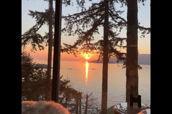 house sitting jobs vancouver House sit in North Vancouver, BC, Canada