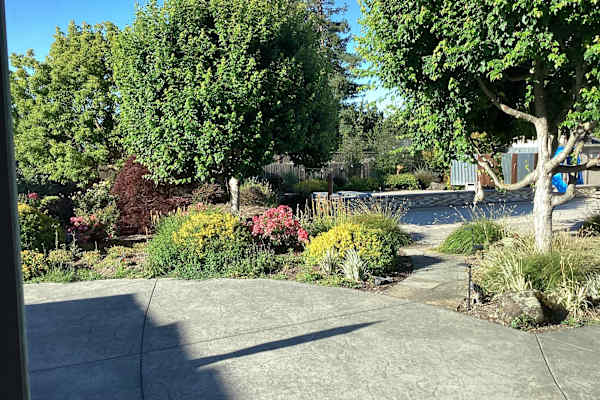 House sit in Petaluma, CA, US