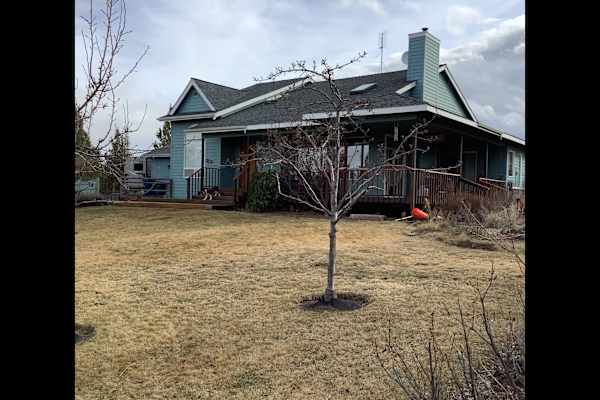 House sit in Bend, OR, US