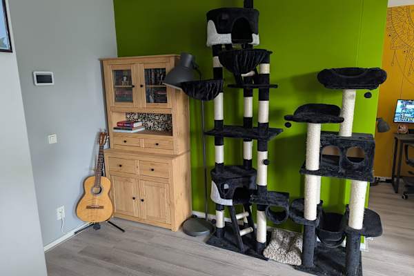 House sit in Rotterdam, Netherlands