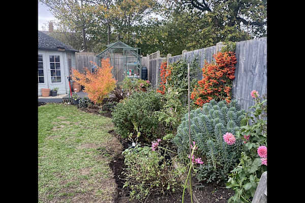 House sit in Heacham, United Kingdom