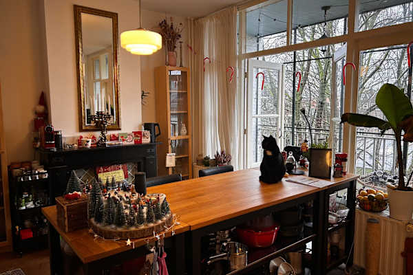 House sit in Rotterdam, Netherlands