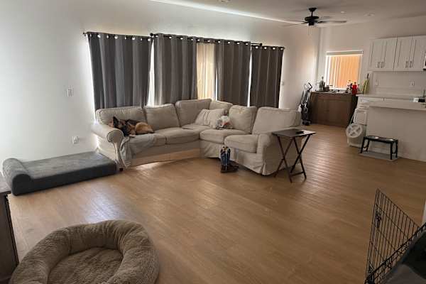 House sit in Lemon Grove, CA, US