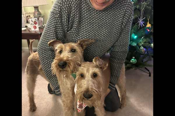 House sit in Odiham, United Kingdom
