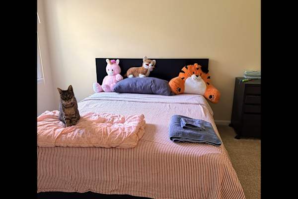 House sit in Ramsey, NJ, US