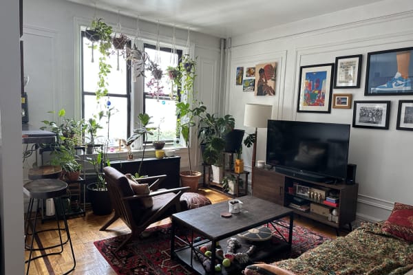 House sit in Los Angeles, CA, US