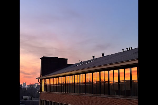 House sit in Scheveningen, Netherlands