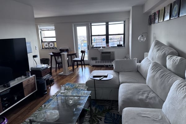 House sit in The Bronx, NY, US