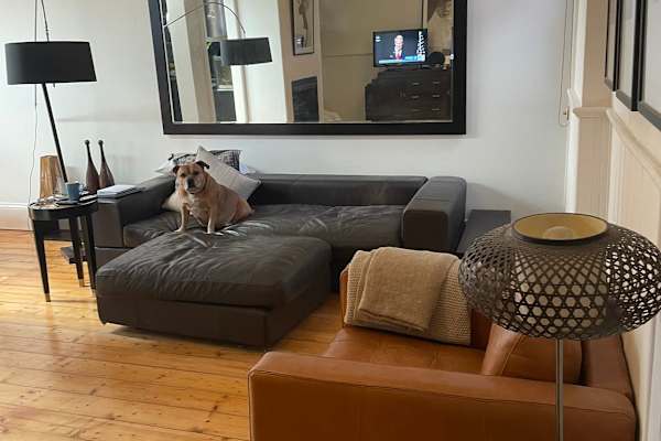 House sit in Melbourne, VIC, Australia