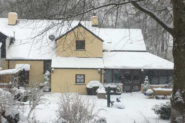 House sit in Morfa, United Kingdom
