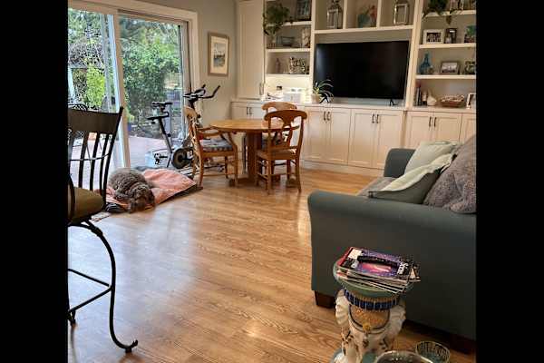 House sit in Walnut Creek, CA, US