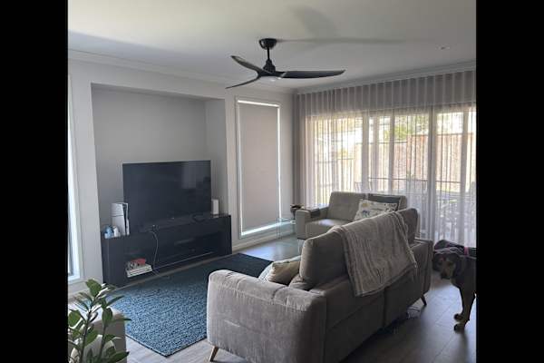 House sit in Brisbane, QLD, Australia