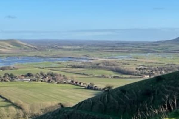 House sit in Lewes, United Kingdom