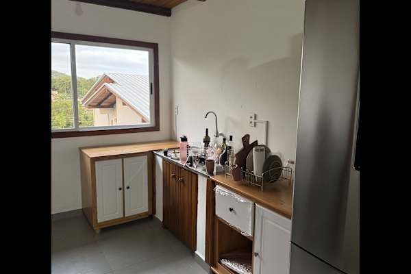 House sit in Florianópolis, Brazil