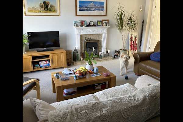 House sit in Corsham, United Kingdom