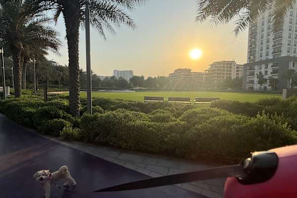 House sit in Dubai, United Arab Emirates